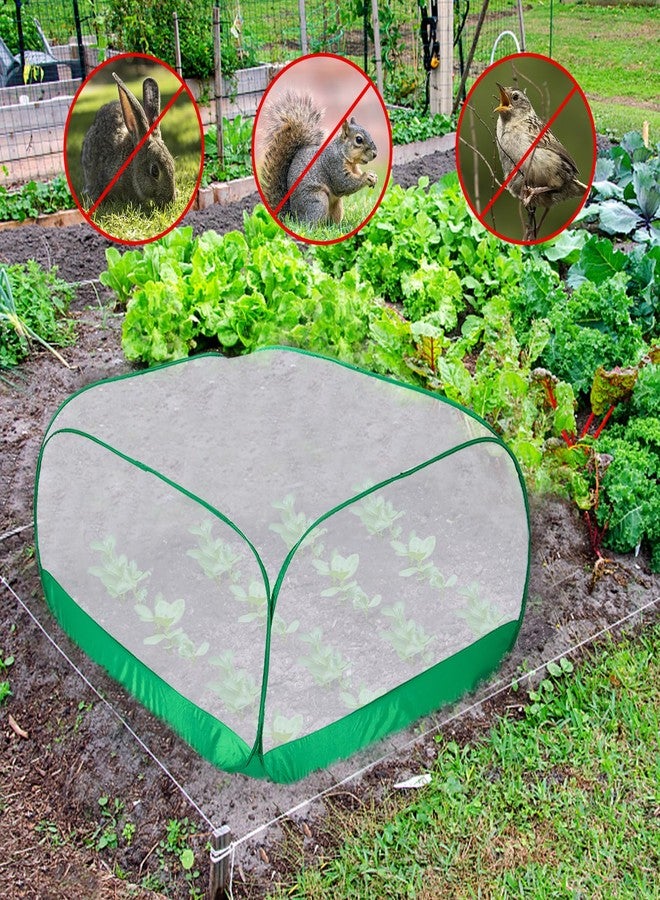 MADHOLLY Upgraded Garden Netting - 3.3 × 3.3 × 1.65 FT Plant Covers Net for Square Raised Garden Bed, Ultra Fine Garden Mesh Netting Protection from Bird Pest Barrier Net Row Cover for Plant Fruit Vegetable - Image 5